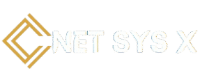 NETSYSX_LOGO-removebg-preview